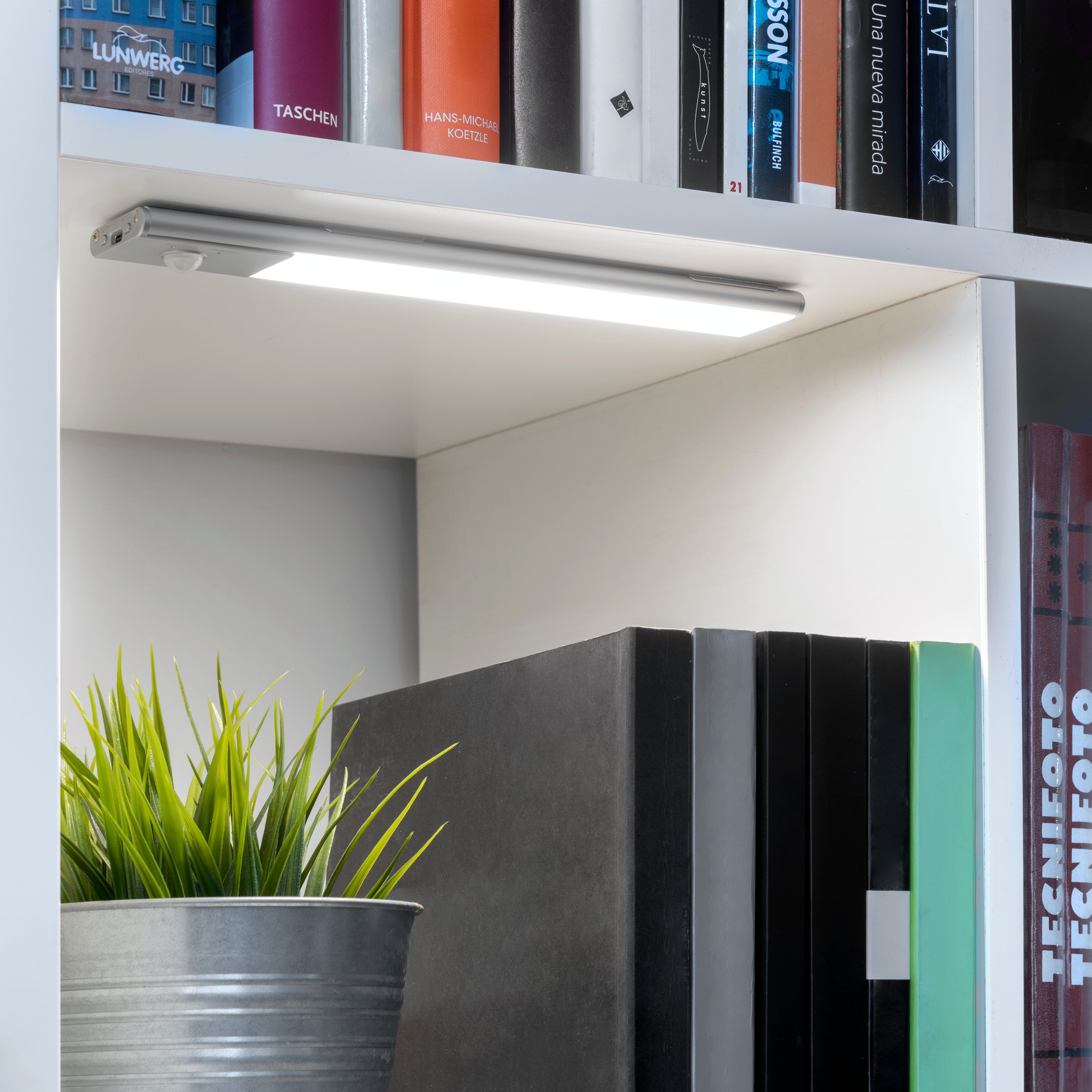 Motion Sensor Light